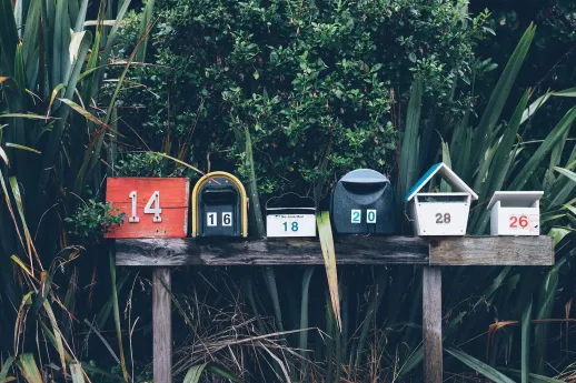 Newsletter